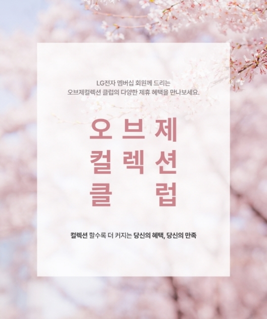 오브제컬렉션 이미지
