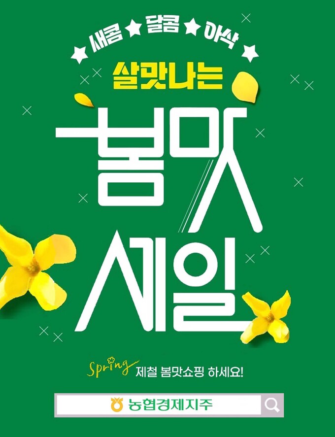 데이지주 이미지