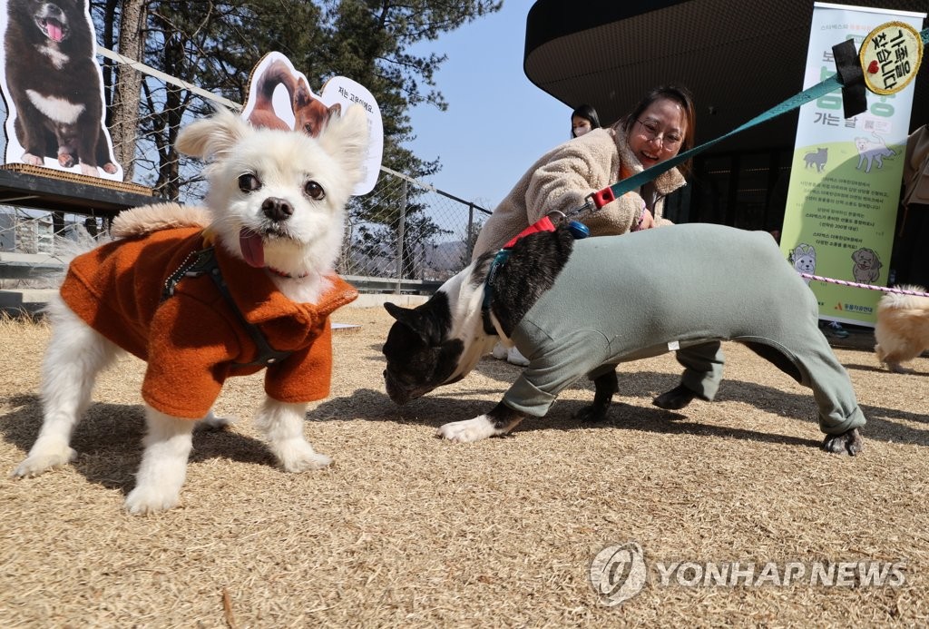 소풍가는날 이미지