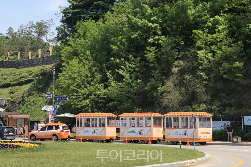 고마 이미지