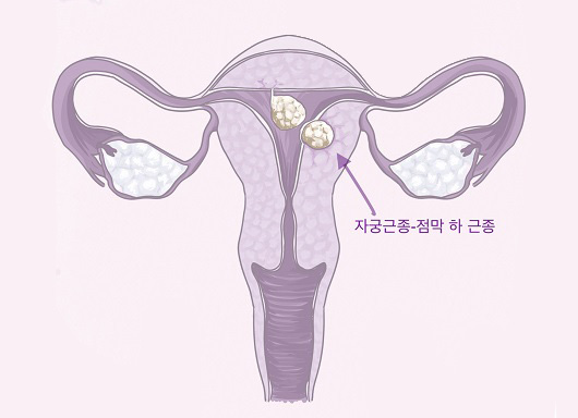 이해와공감산부인과의원 이미지