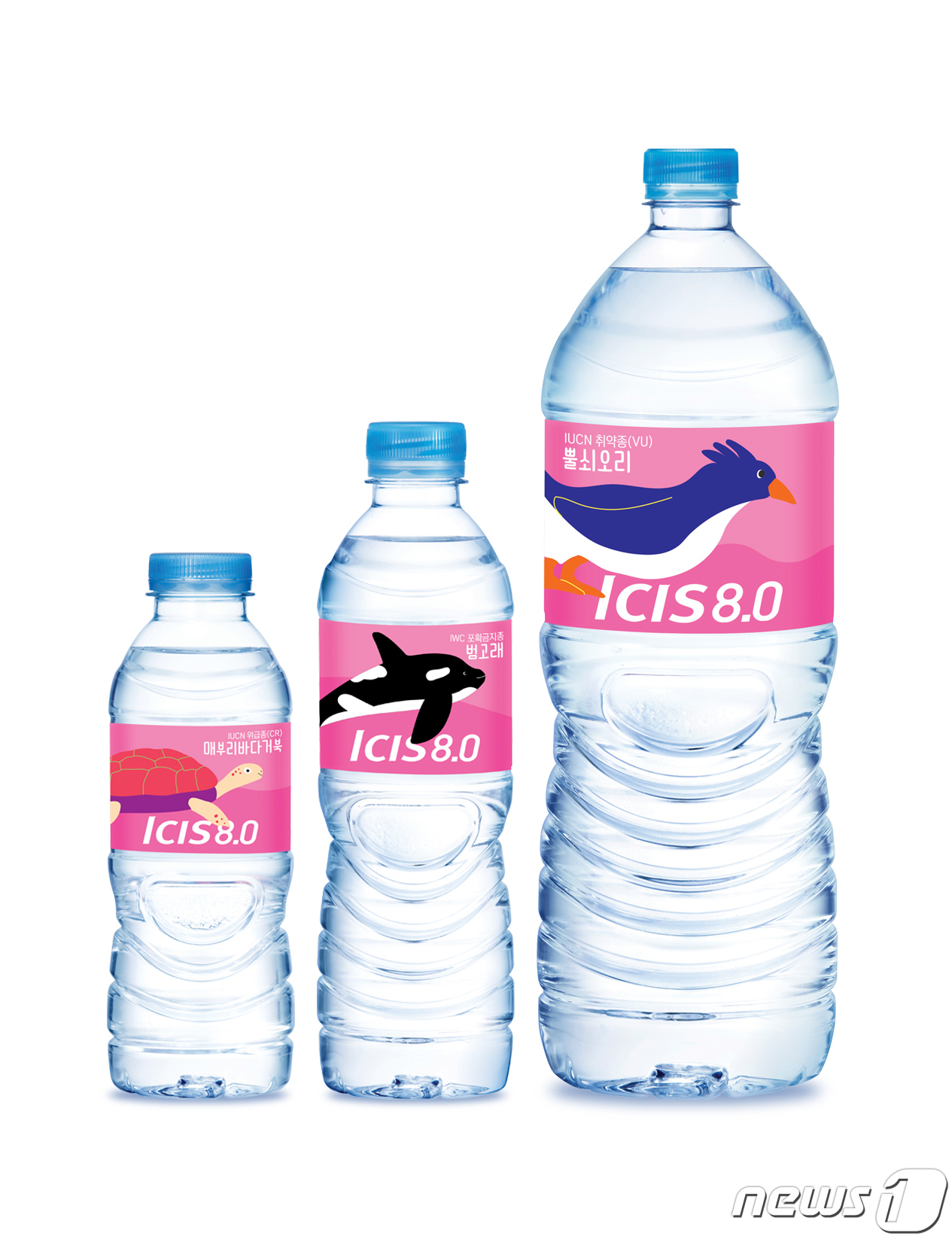 아이시스 이미지