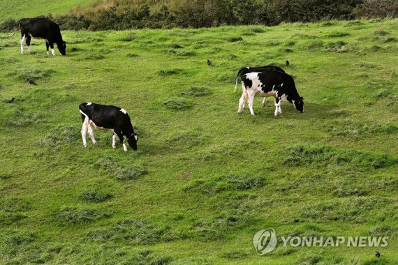 초지축산 이미지