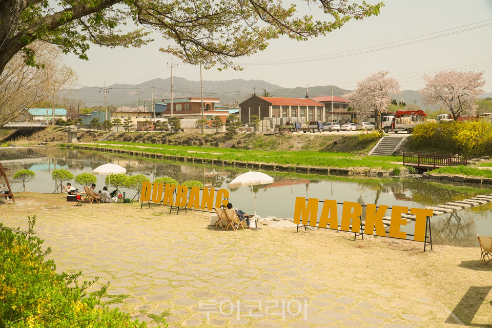 노란마켓 이미지