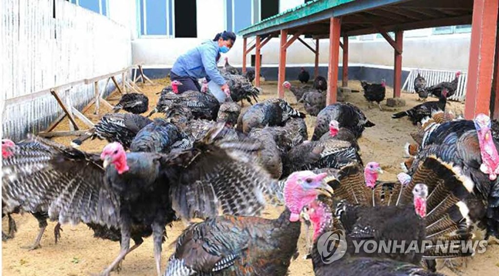청해축산 이미지
