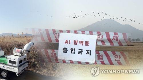 행정말농장 이미지