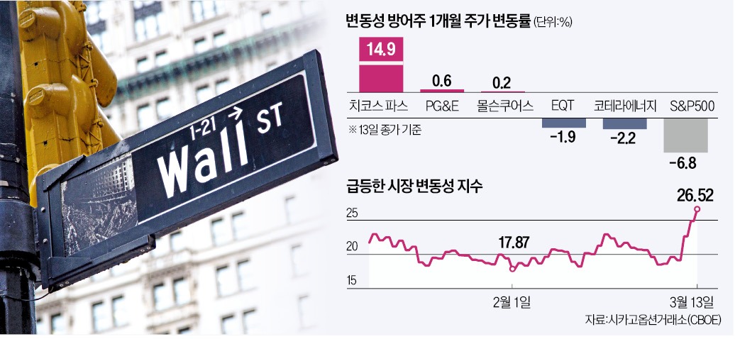 치코스 이미지