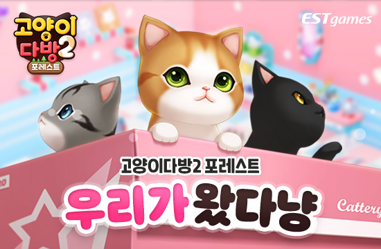 고양이다방 이미지