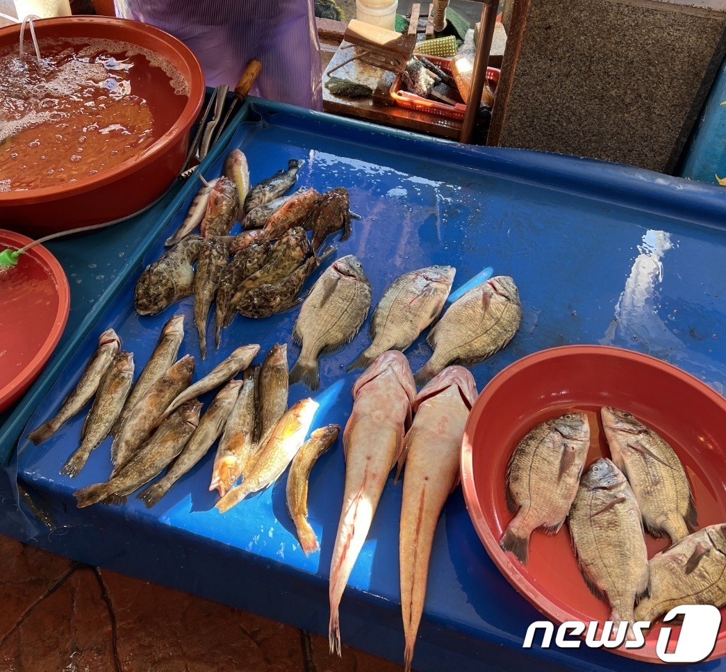 활어종합수족관 이미지