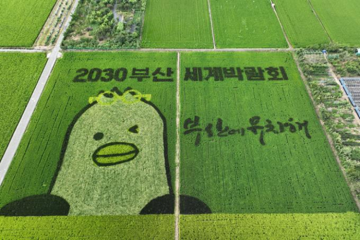 부산국제정비 이미지