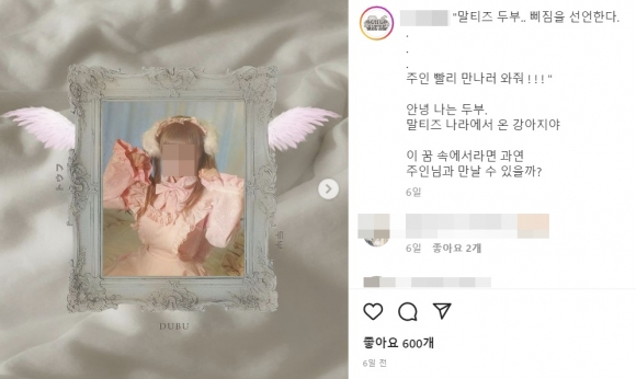 카페메이드 이미지