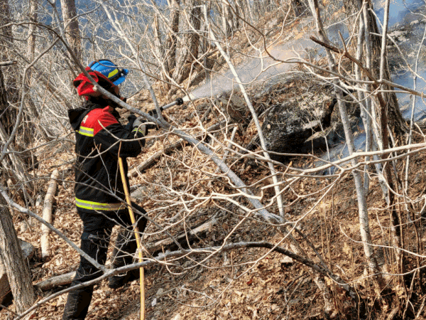 산불진화대 산불진화 모습.