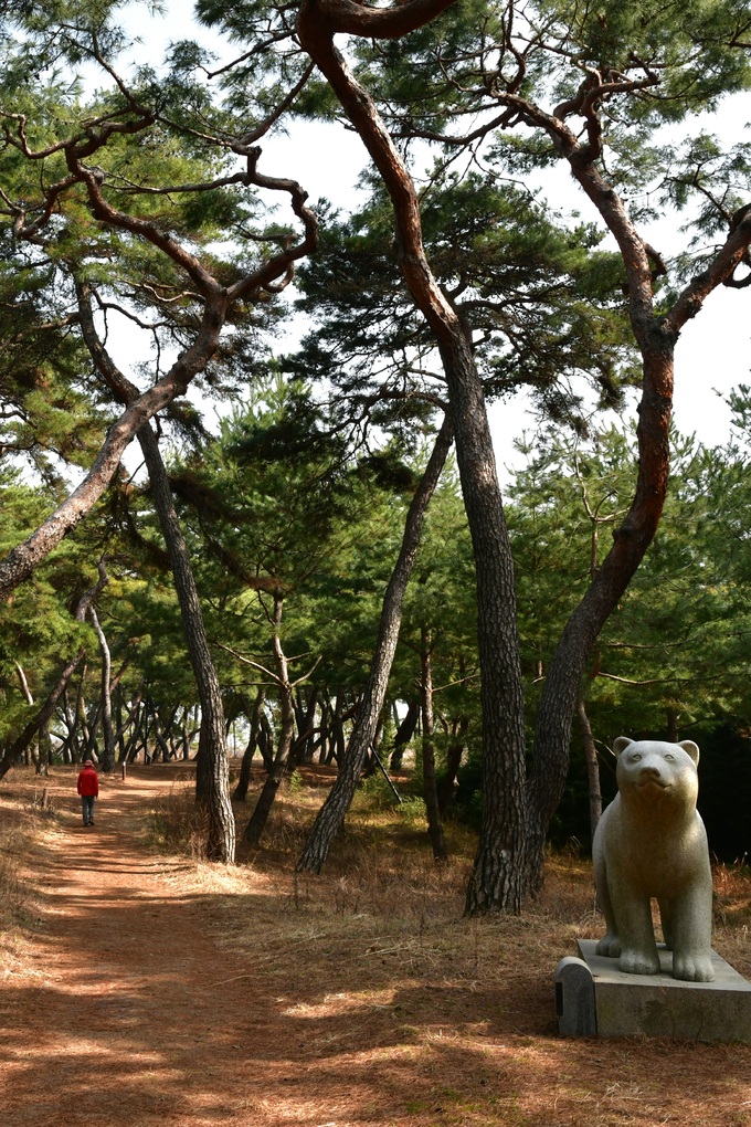 고마 이미지