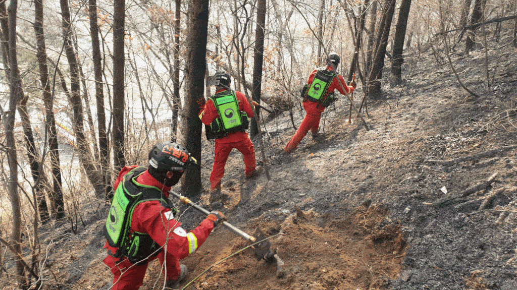 산불 진화하는 공중진화대원 [산림청 제공.재판매 및 DB 금지]