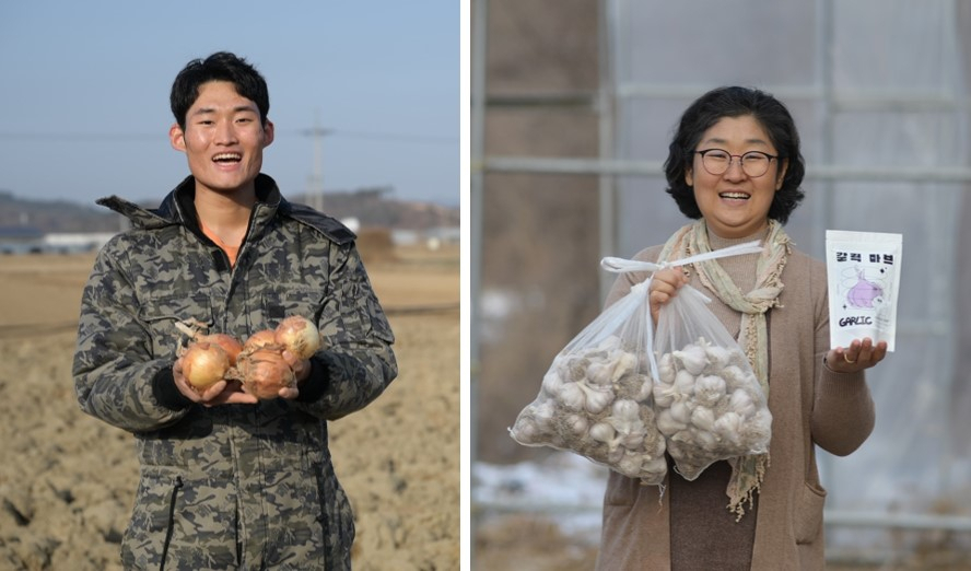 경북야채 이미지