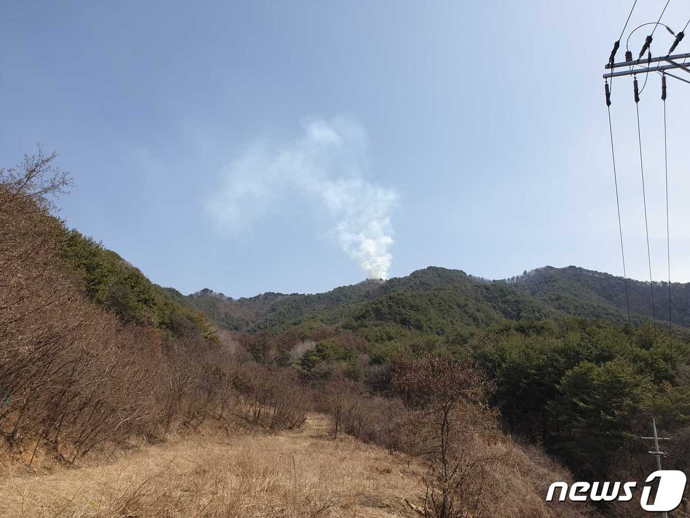 양구남면인력 이미지