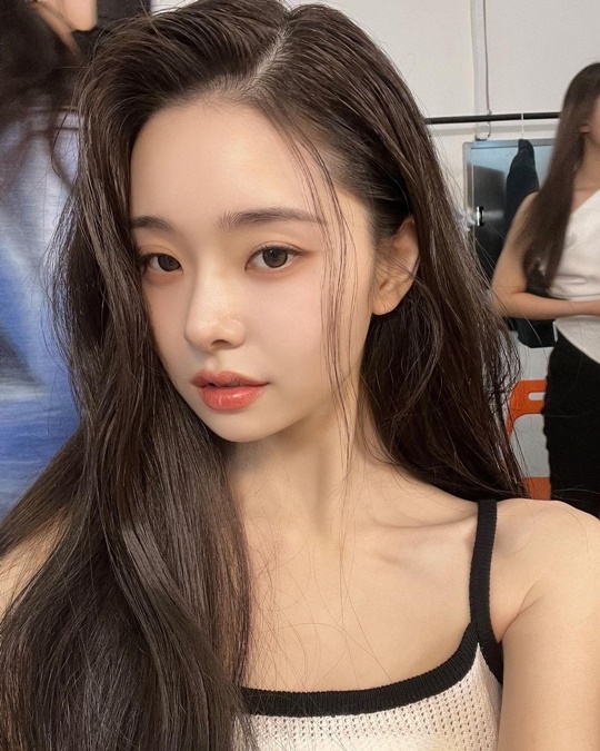 프리지아 이미지