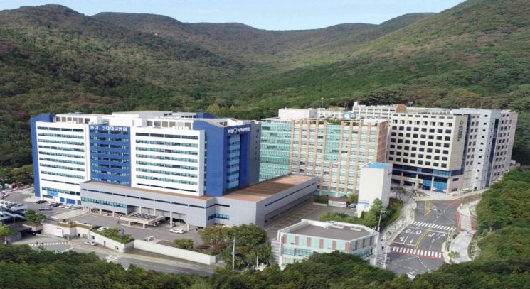 동아대학교 이미지