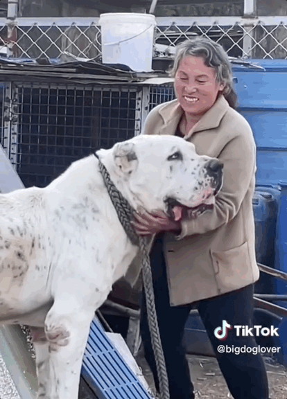 [틱톡 @bigdoglover]