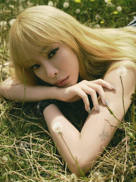 헤이즈미 이미지