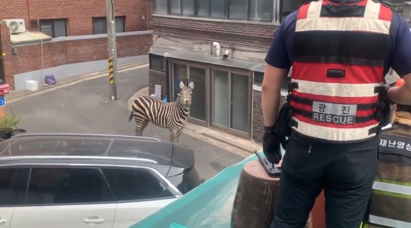 대만선 이미지