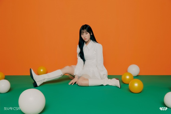 씨에스알 이미지
