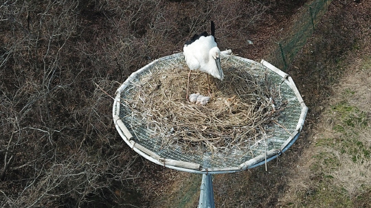 서산버드랜드사업소 이미지
