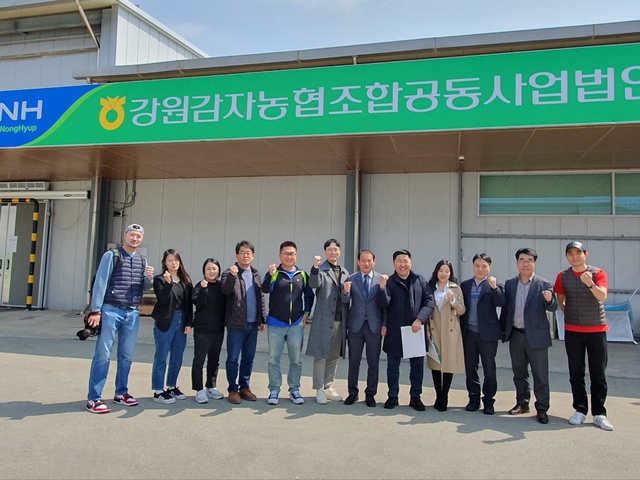 강원감자농협조합공동사업법인 이미지