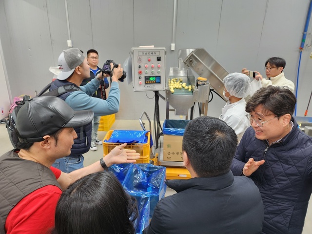 강원감자농협조합공동사업법인 이미지