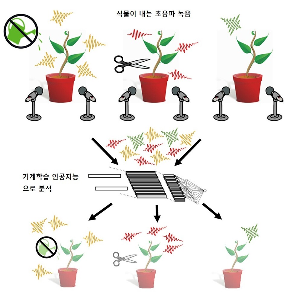 뽁 이미지