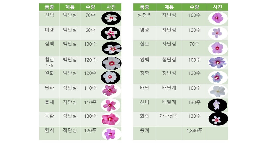 바다향기 이미지