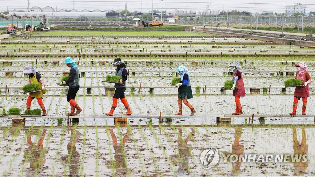 예산축산 이미지