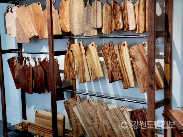 콜로디우드스튜디오 이미지