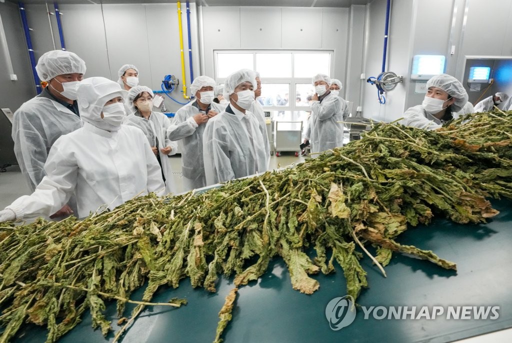 양구군 농산물가공지원센터 이미지