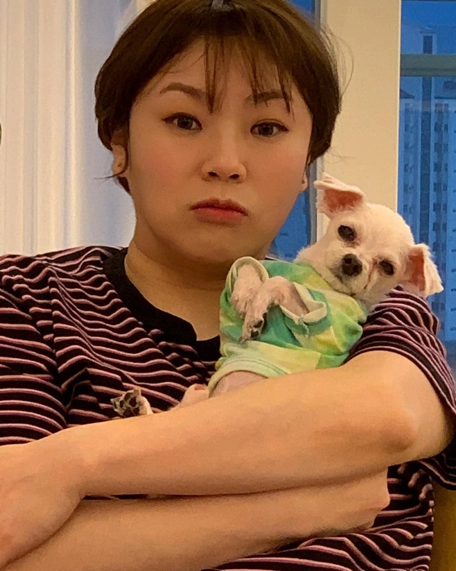 햇님 이미지