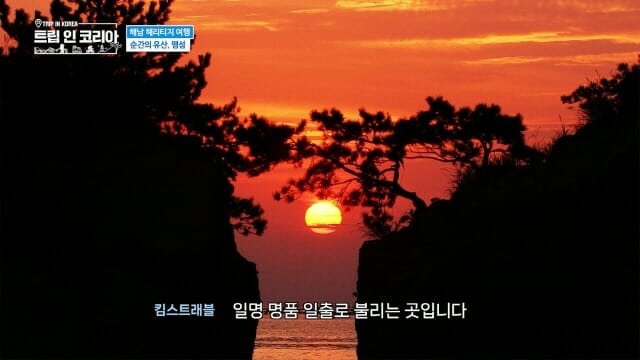 인코리아 이미지