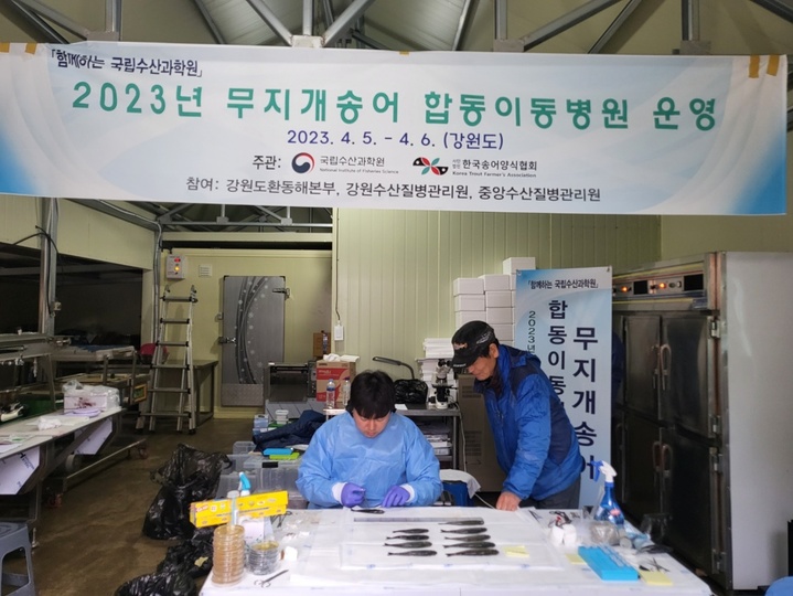 무지개수산 이미지