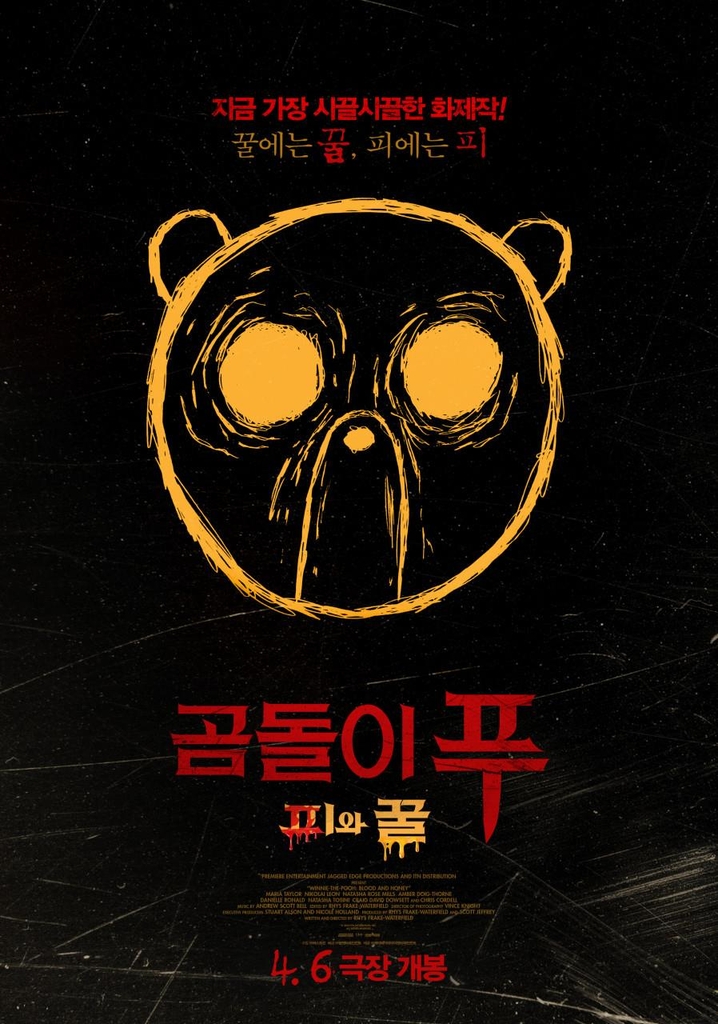 와이이피 이미지