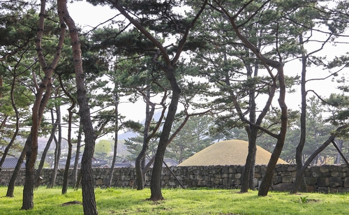 보락국제여행사 이미지