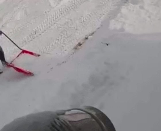 린의 집앞에 눈을 버리는 의문의 남성. ‘린의 시골생활’ 유튜브 채널 영상 캡처