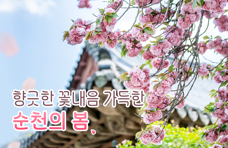 꽃내음 이미지