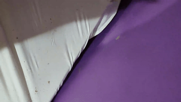 ('보배드림' 갈무리)