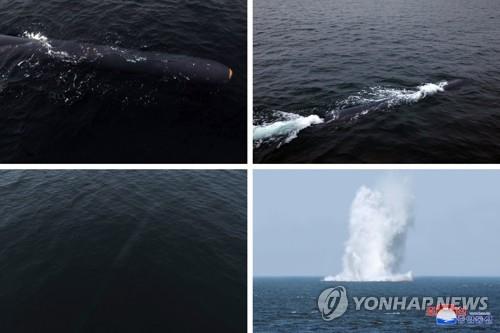 해일통신 이미지