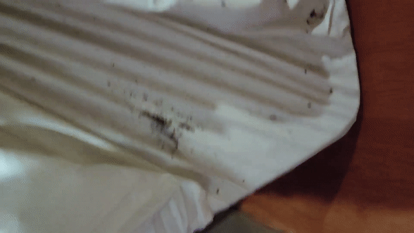 온라인커뮤니티 캡처