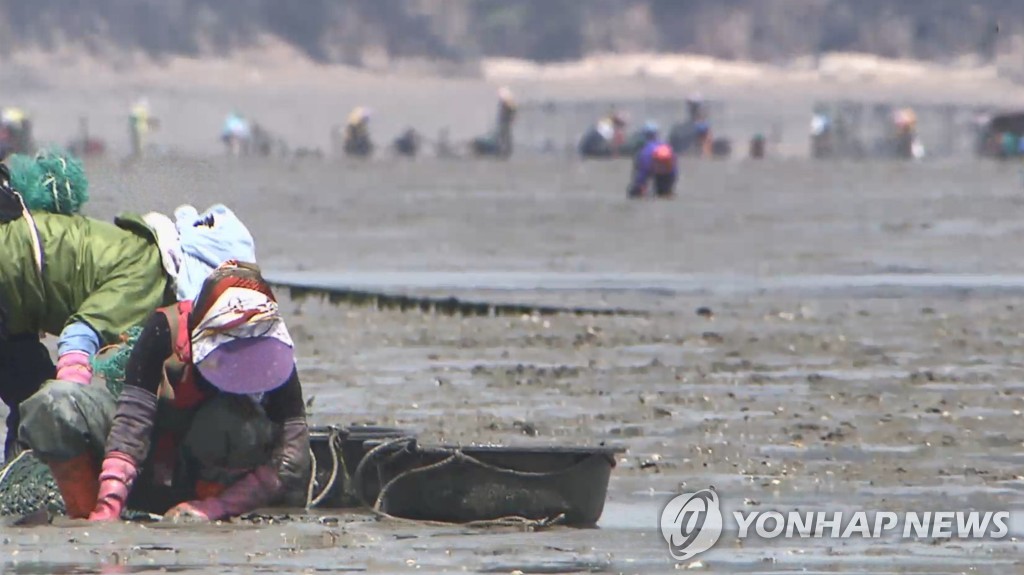 자란만식품 이미지