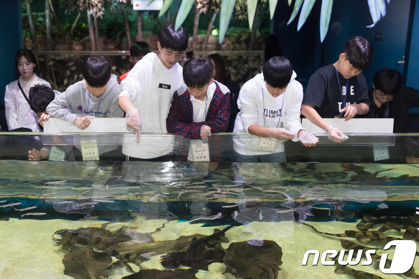 20회수산 이미지