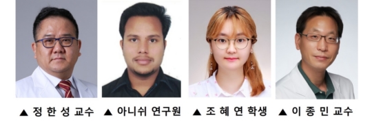 미각 이미지