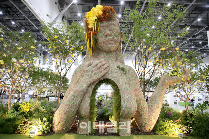 엑스코플라워 이미지
