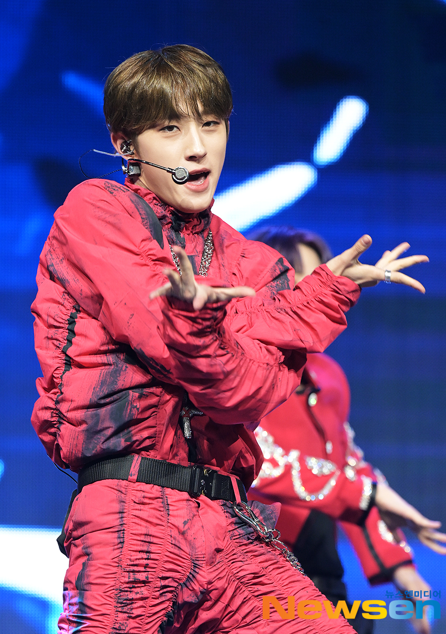 신스1979 이미지