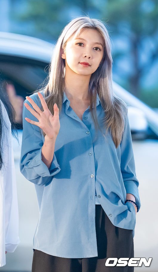 다미 이미지